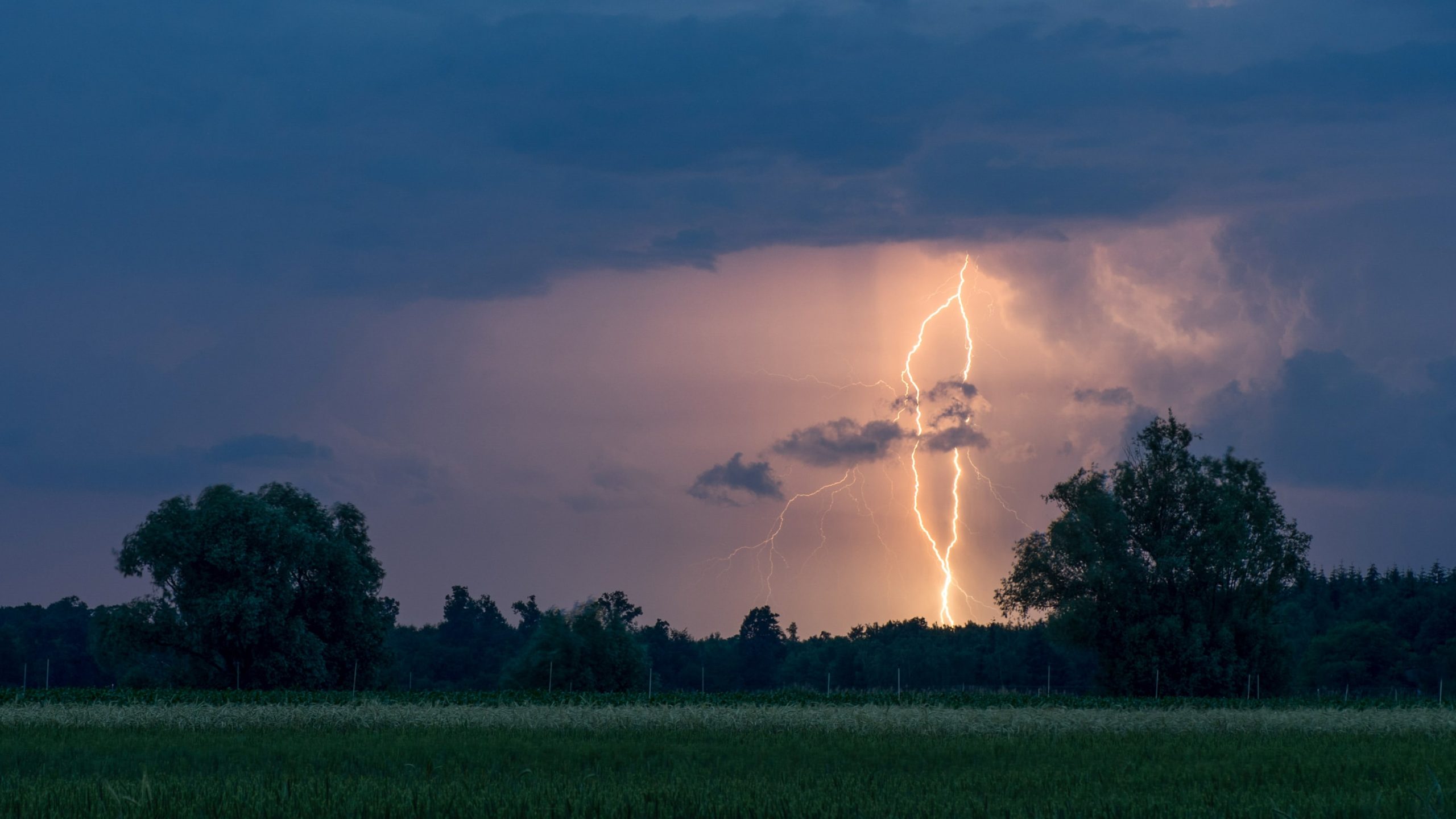 La pluie gronde