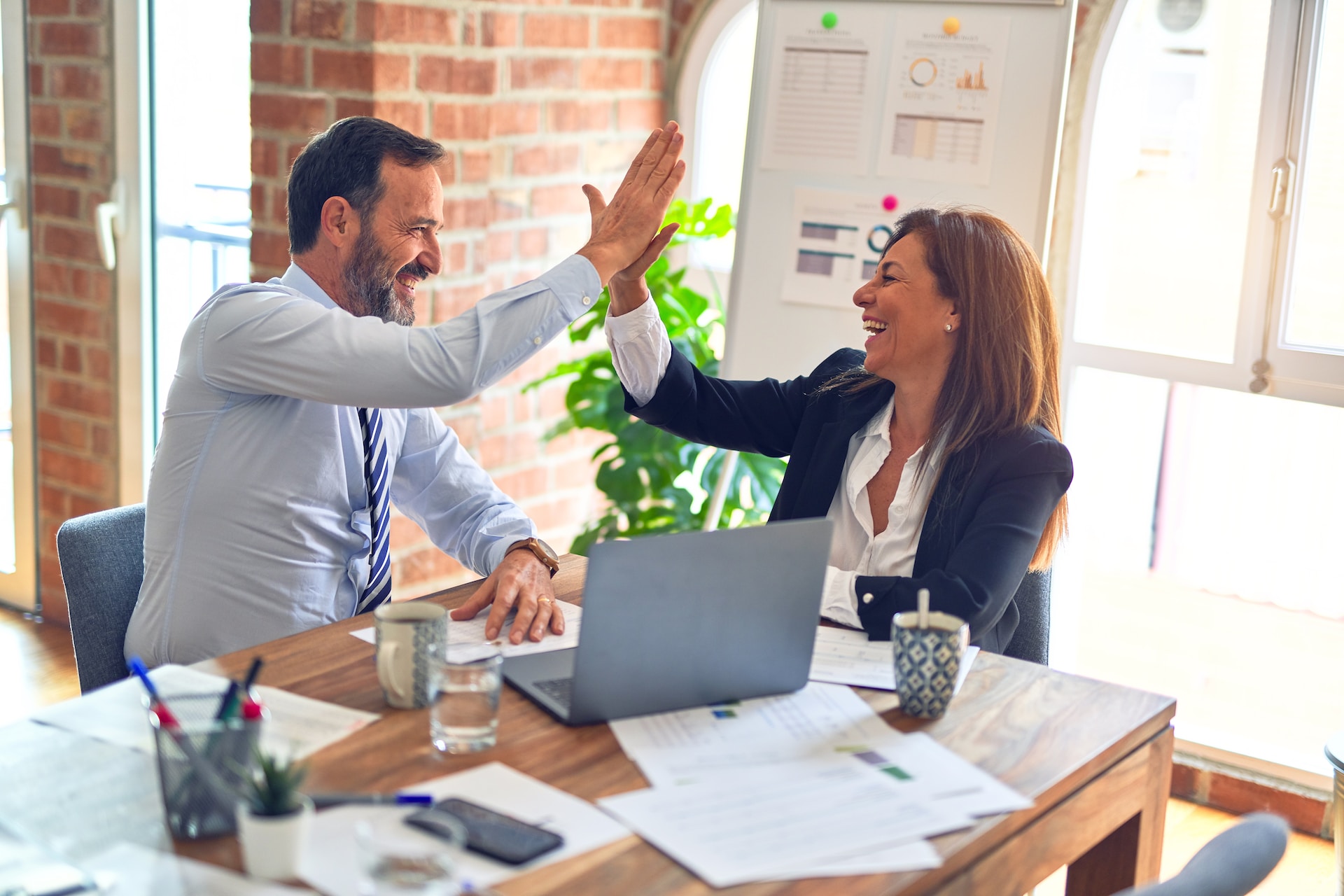 Le management et l'équitation