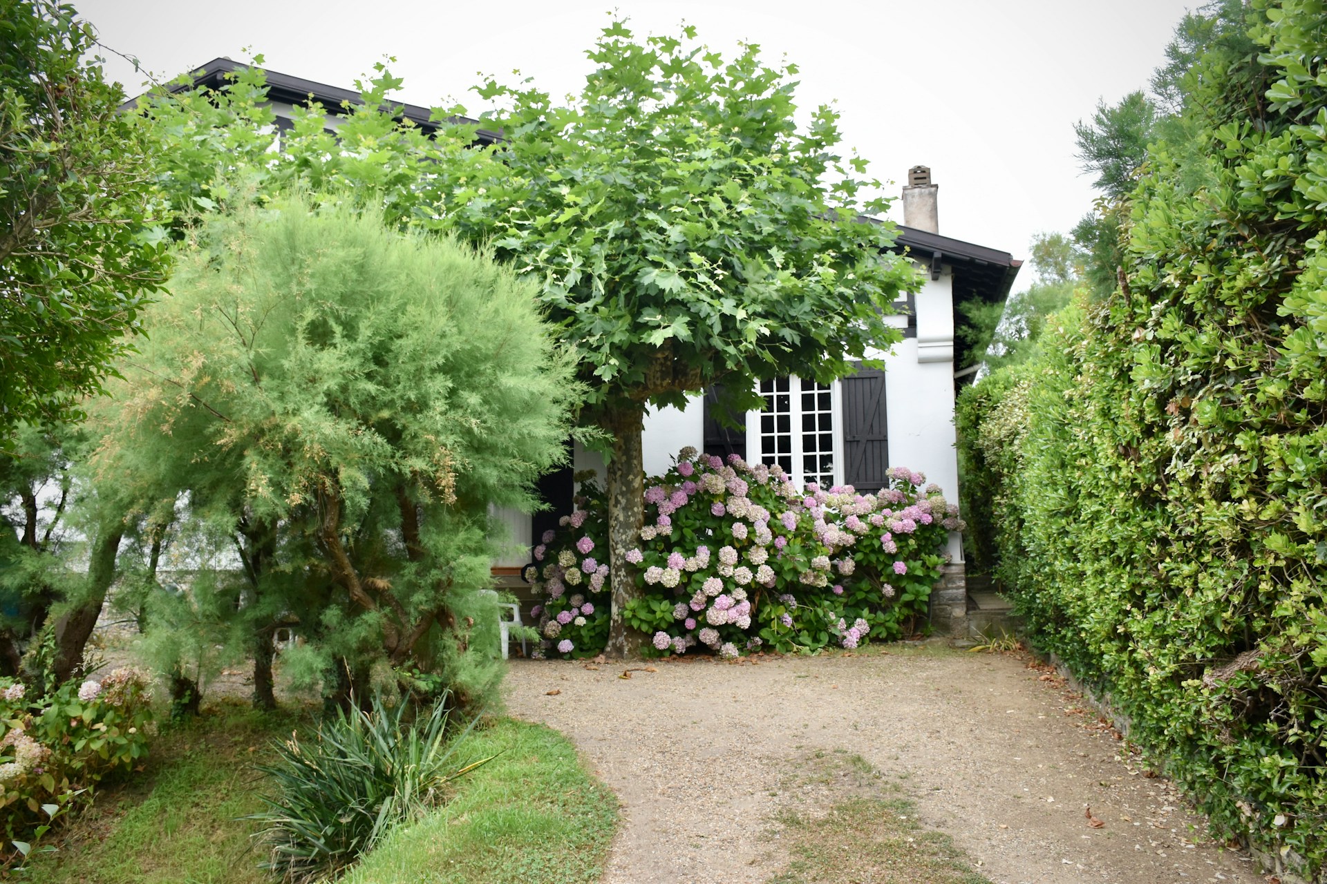 Investir dans l'immobilier rural